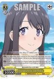 Pokémon Journey Together Booster Pack